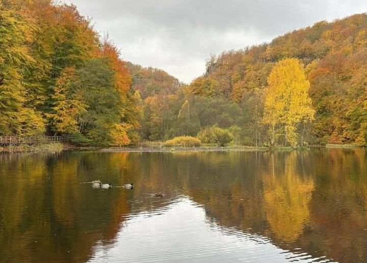 Söderåsen National Park